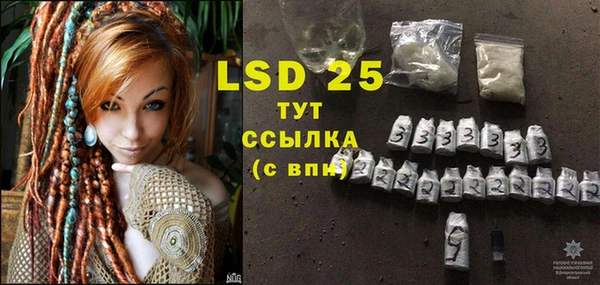 шишки Балахна