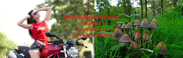 шишки Балахна