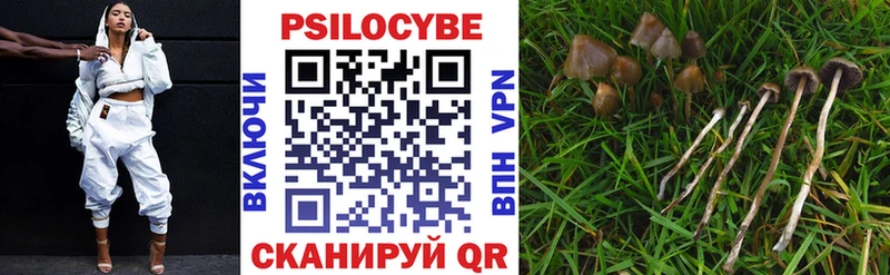 Псилоцибиновые грибы прущие грибы Бирюч